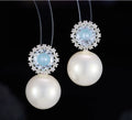 Luxury Snowflake Pearl Earrings   Exquisite Joker Summer Women Fashion Jewelry Wholesale LYX053 - Blue